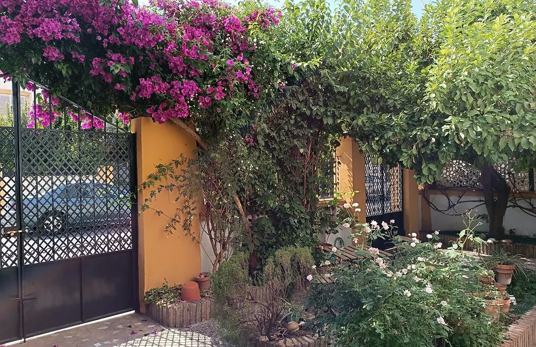 Casa Limonero Con Parking Gratis Junto A Centro Historico-1