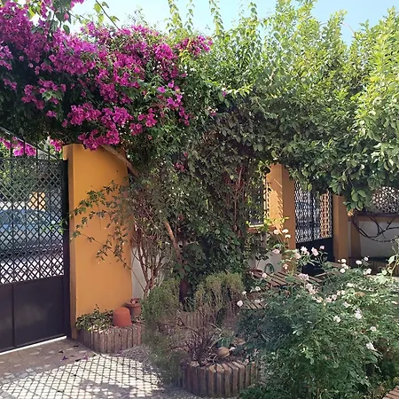 Casa Limonero con parking gratis junto a centro histórico-2